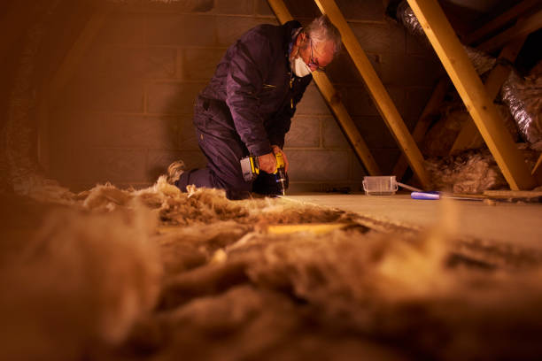 Best Insulation Maintenance and Repair in Cascade Chipita Park, CO
